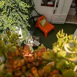 Cheap & Chic Hotell